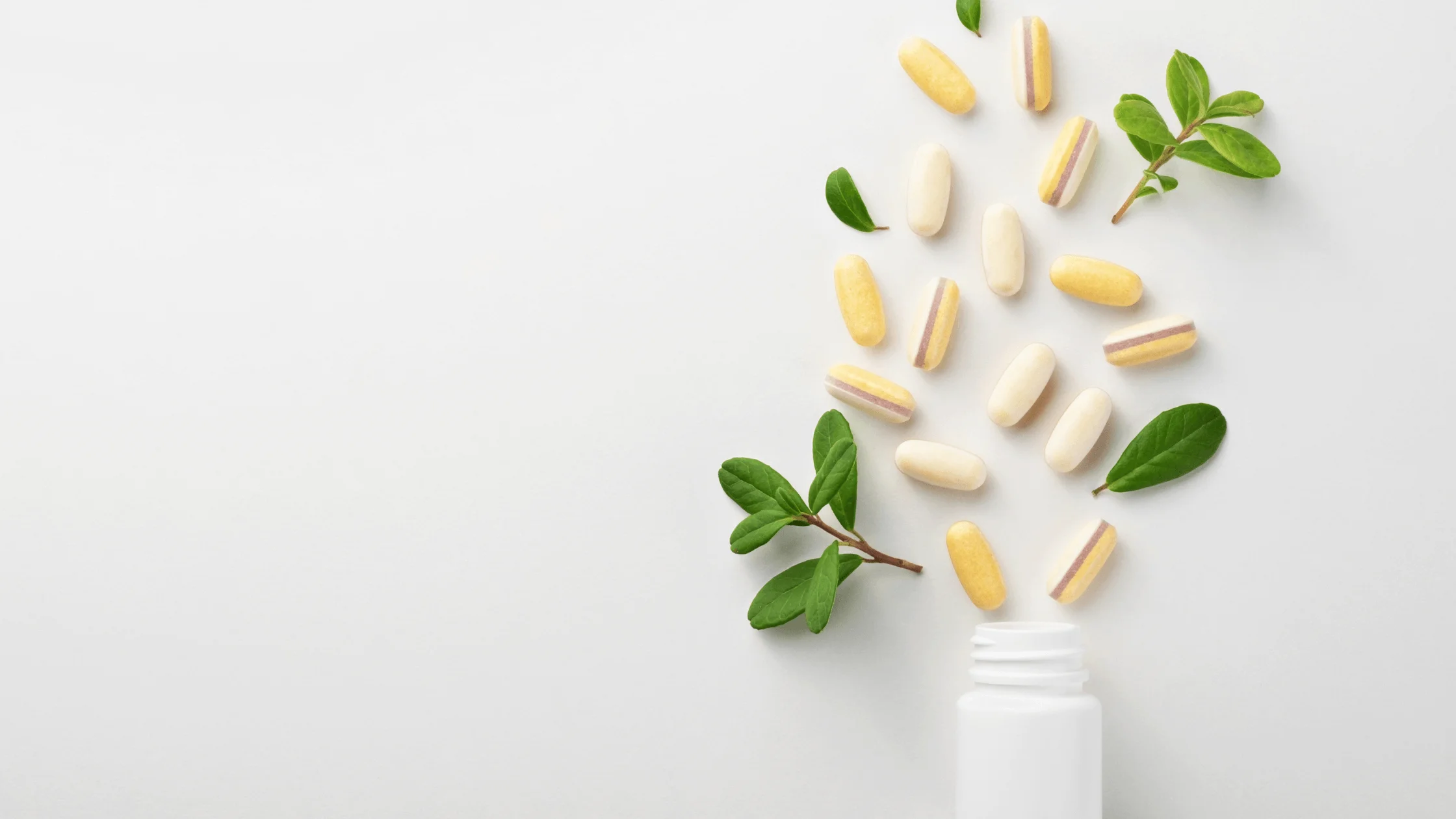 Probiotyki i prebiotyki: Sekret zdrowych jelit